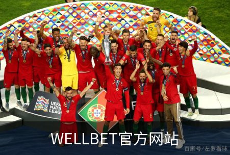 WELLBET官方网站简介