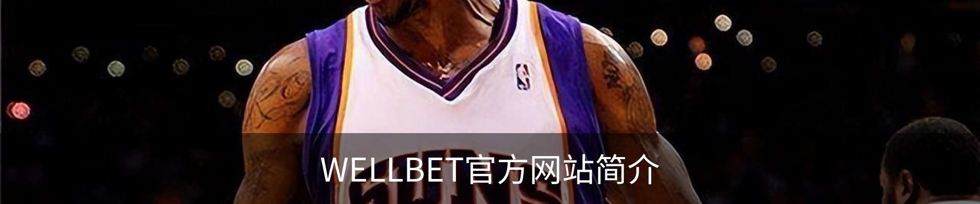 WELLBET官方网站简介